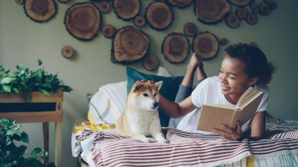 Girl pets a dog while reading in bed.